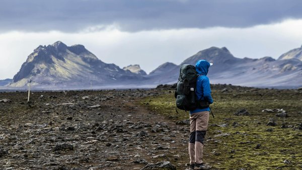 Les excursions à terre avec MSC cruises : tout ce que vous devez savoir