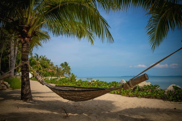 Guide de la croisière idéale aux Grenadines